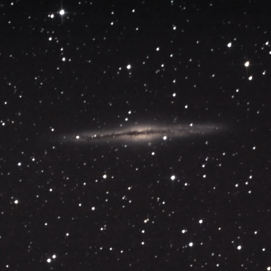 NGC891_30min_20090822_550.jpg