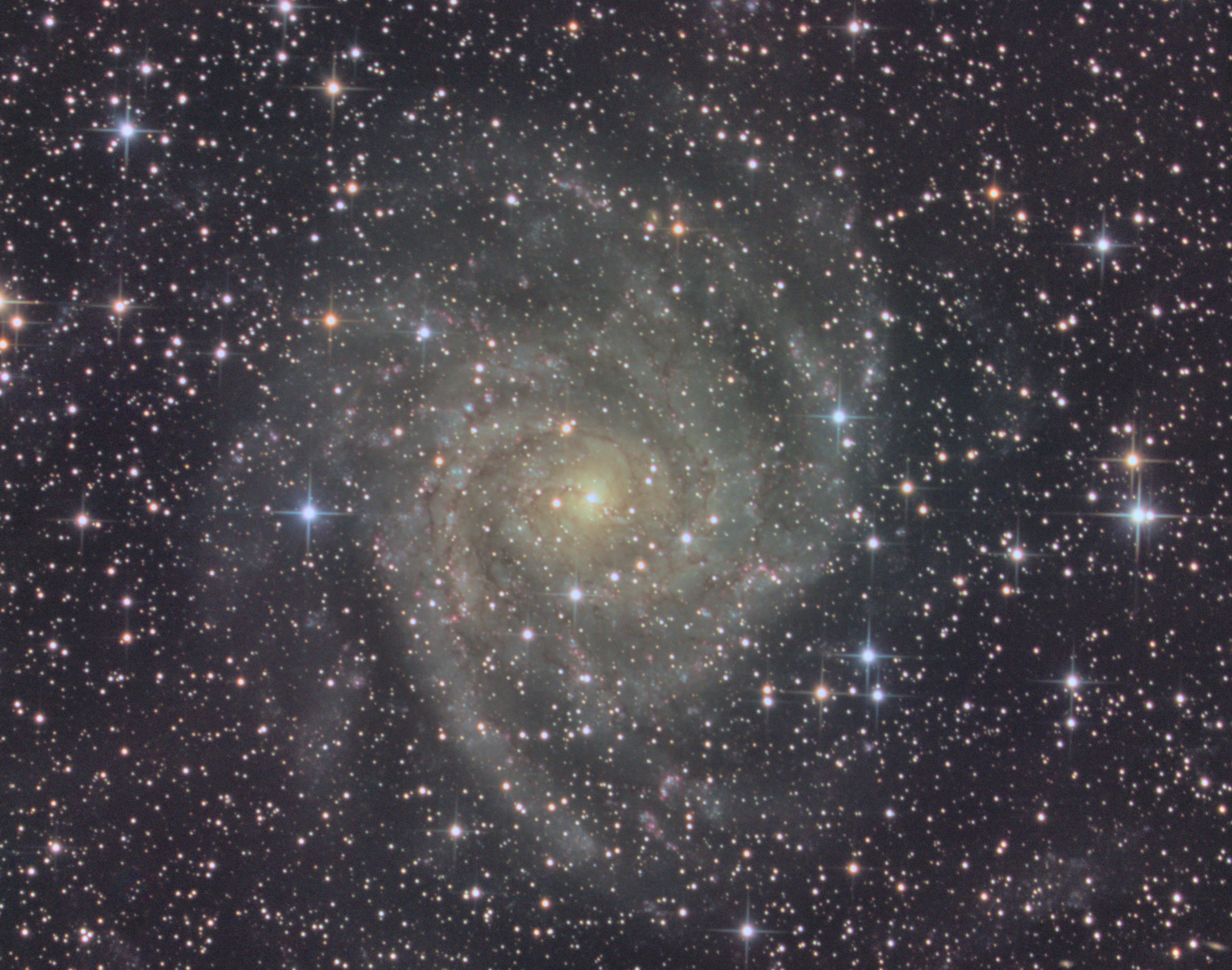 IC 342.jpg