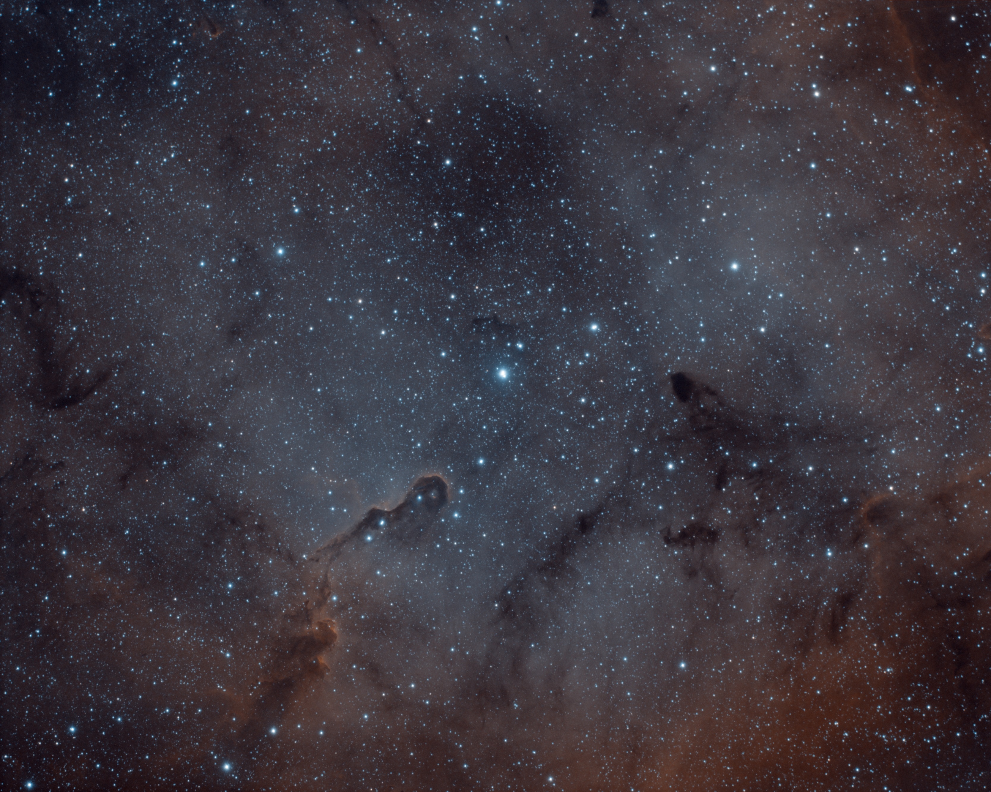 ic1396wide.jpg