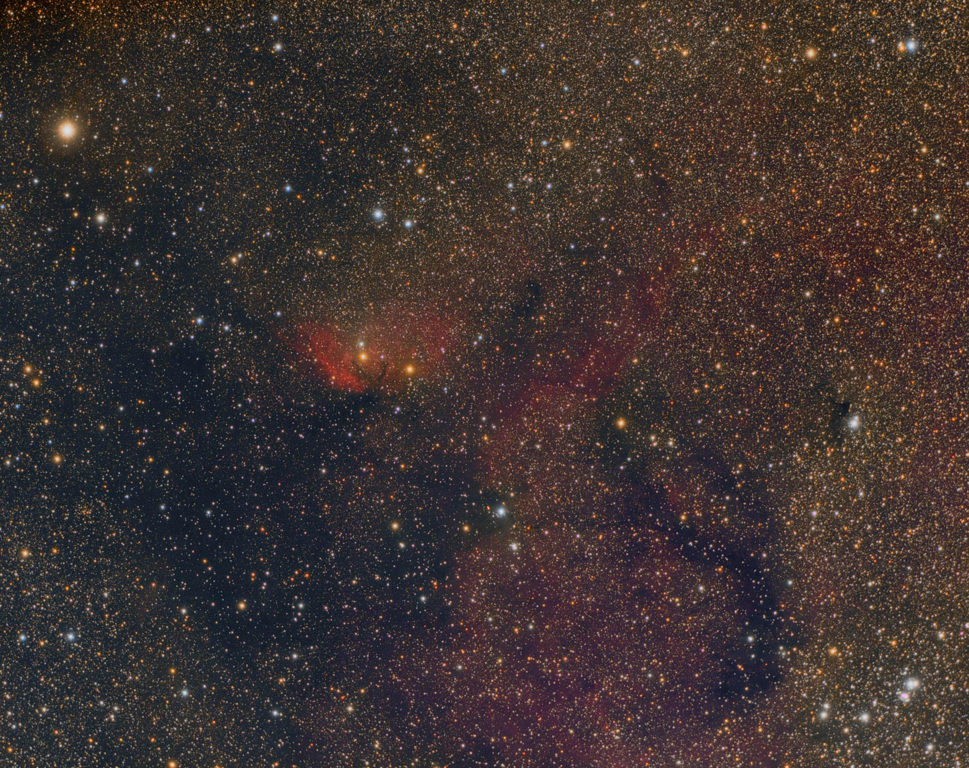 Tulip nebula.jpg