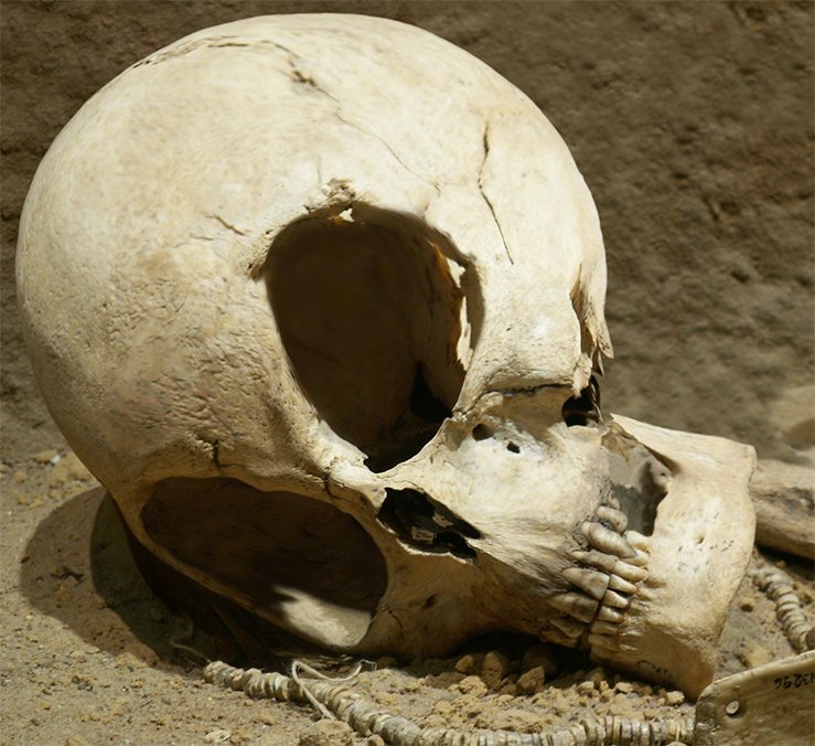 alien-skull.jpg