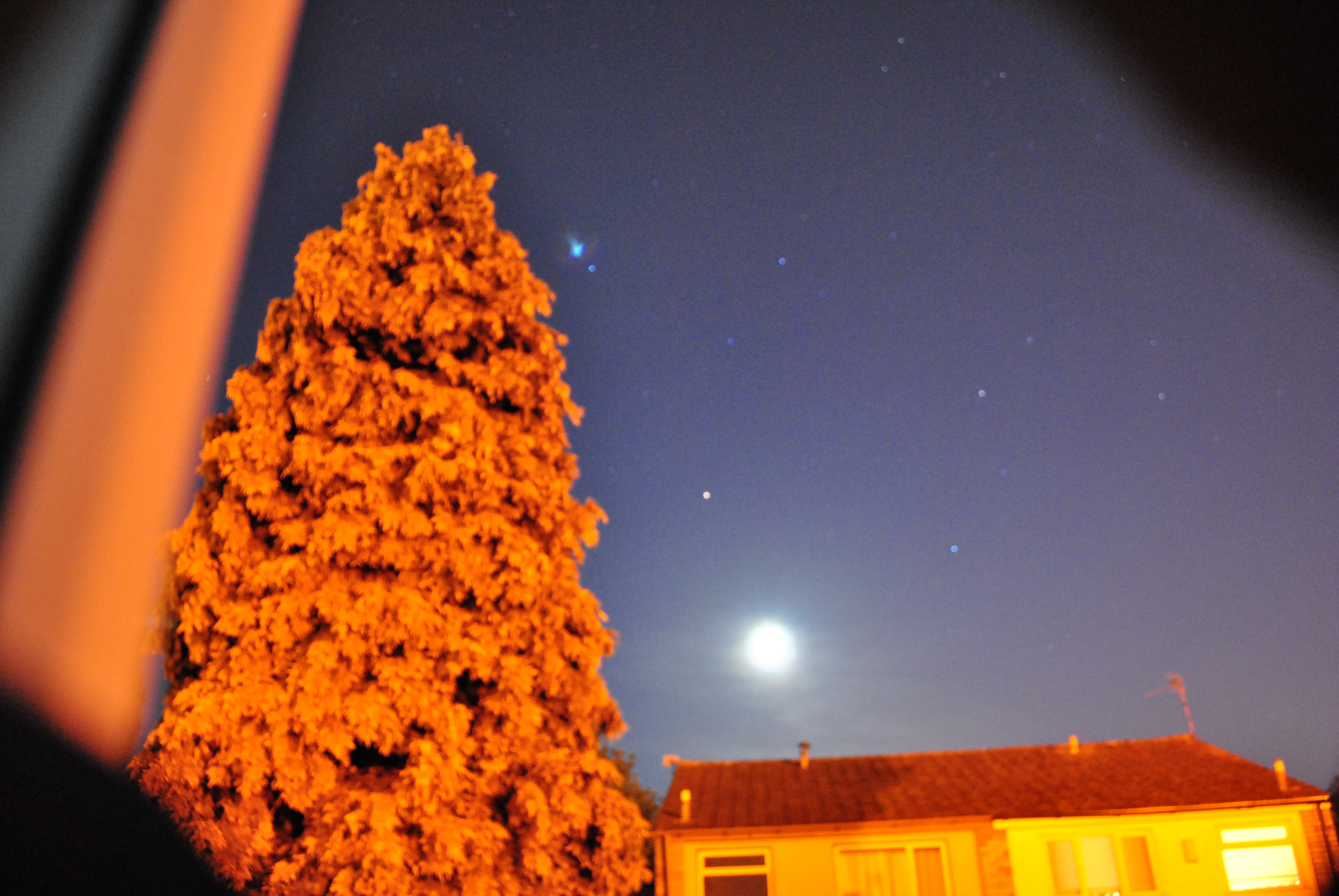 DSC_0685.jpg